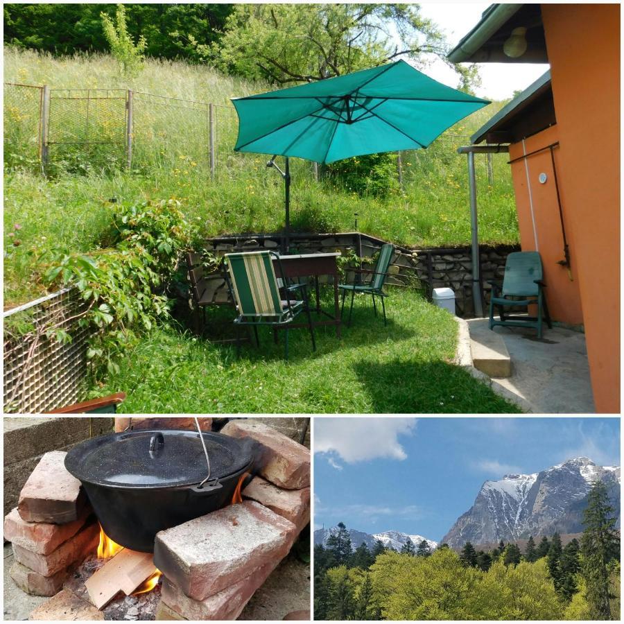 Casa Tex Villa Buşteni Exteriör bild