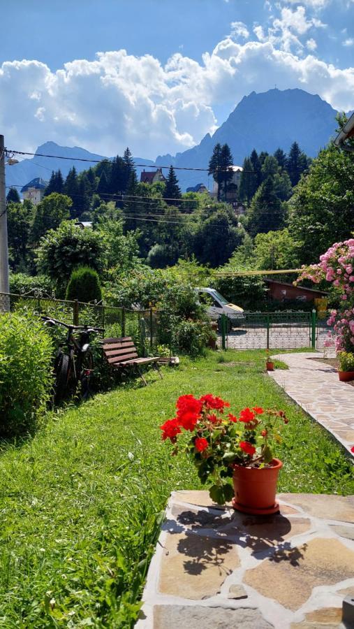 Casa Tex Villa Buşteni Exteriör bild