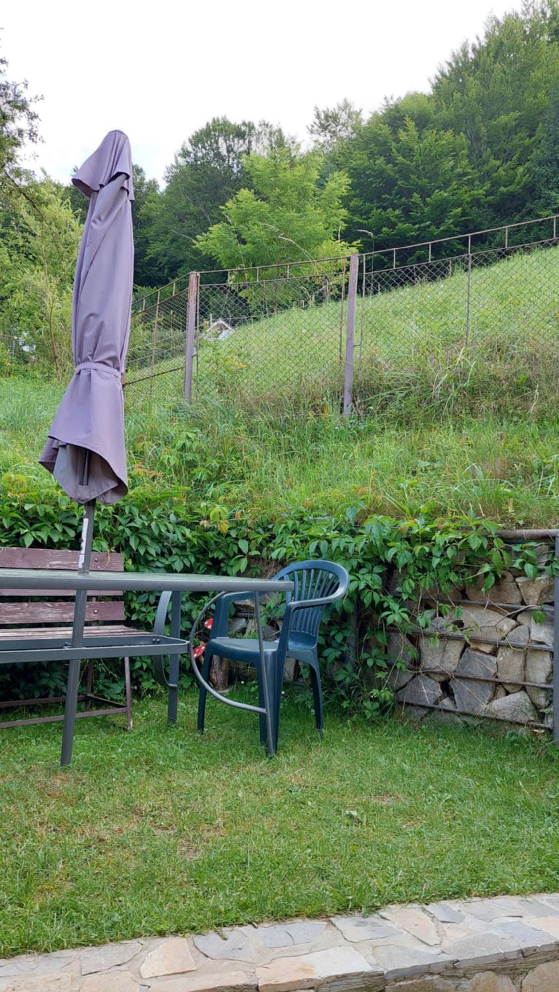 Casa Tex Villa Buşteni Exteriör bild
